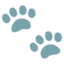🐾 🐾